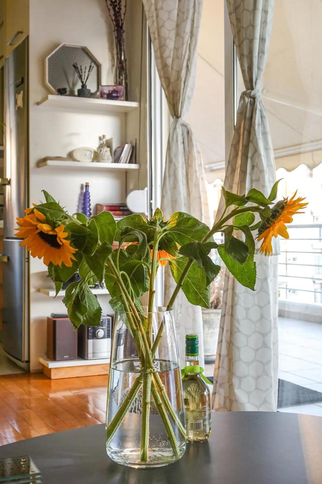 Skyview Penthouse / Central Atina Dış mekan fotoğraf